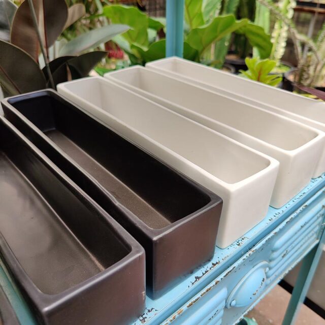 14" Glazed Trough Planter Cactus Jungle