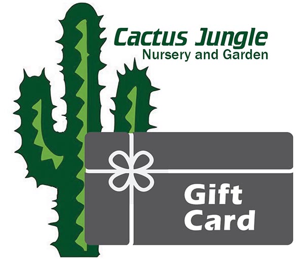 Image of a Cactus Jungle Gift Card